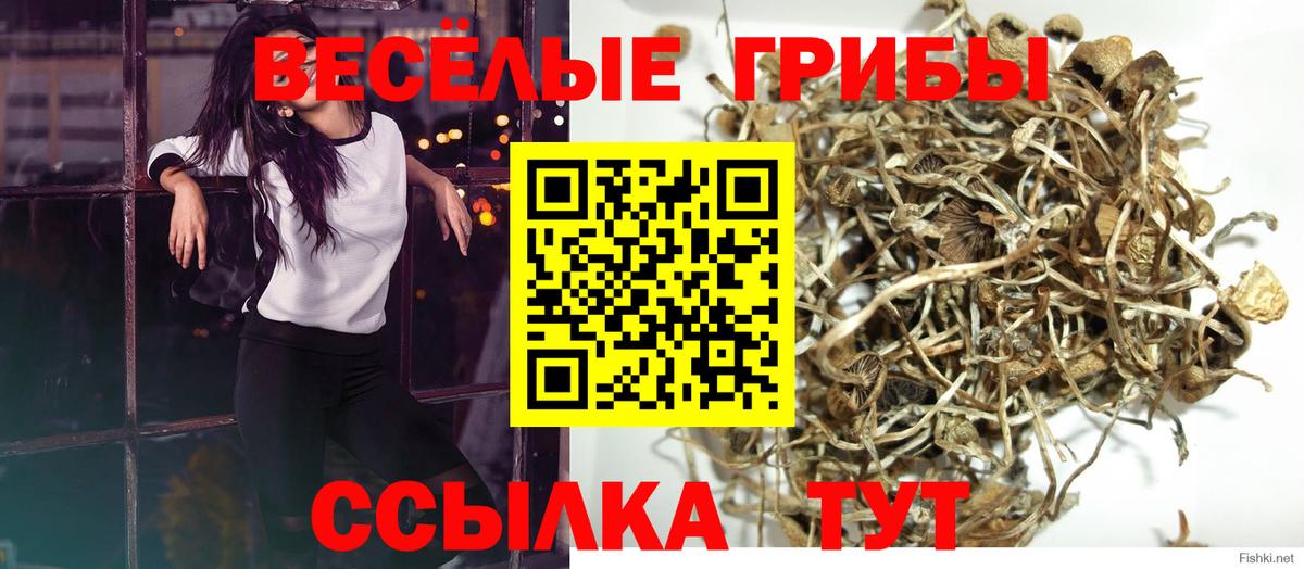 Псилоцибиновые грибы Magic Shrooms Геленджик