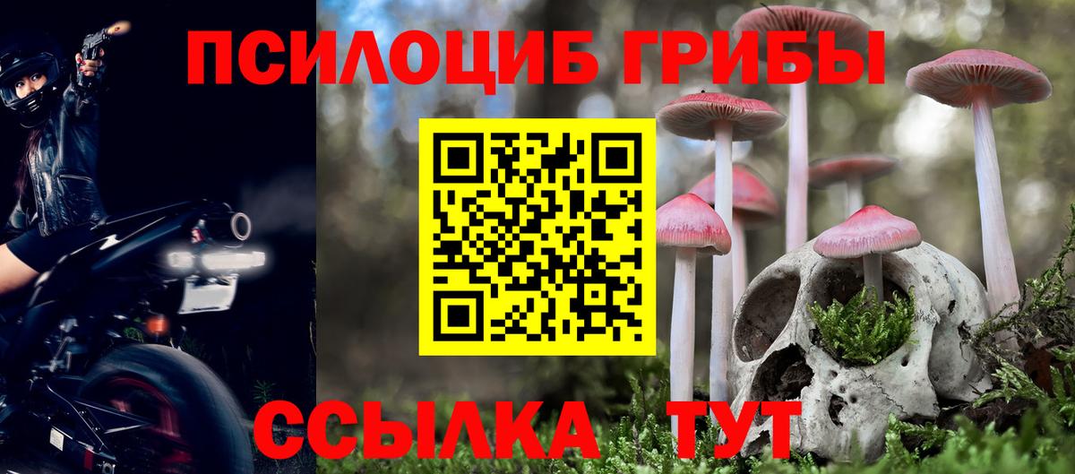 где продают   Вход с VPN  Геленджик  Галлюциногенные грибы Cubensis 